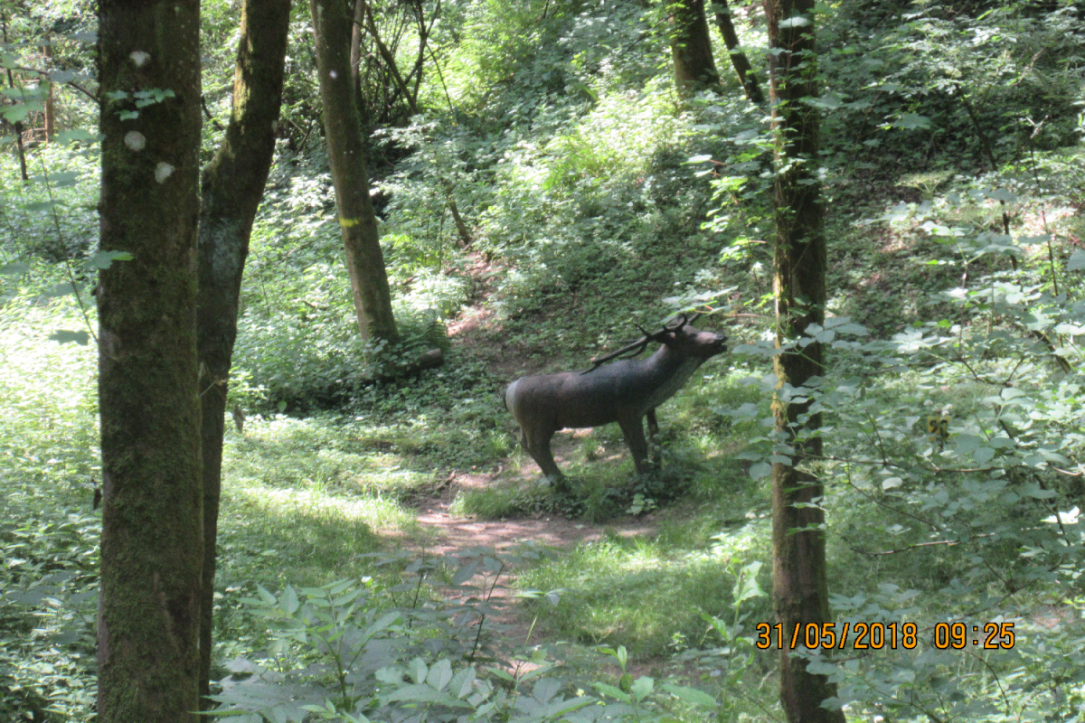 Klamschzlucht (43)