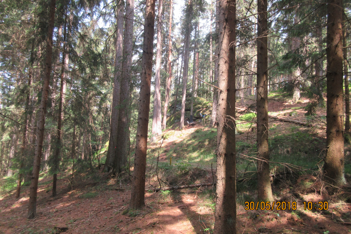 Waldenfels (51)